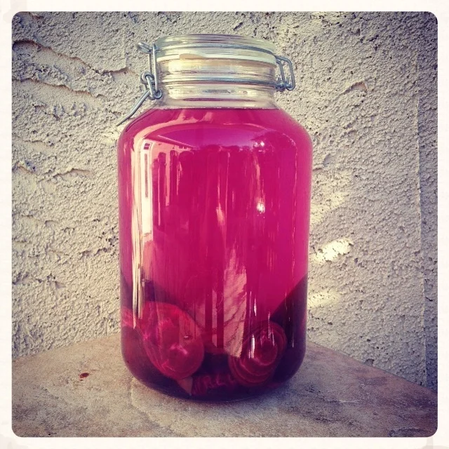 beet kvass, happily fermenting away