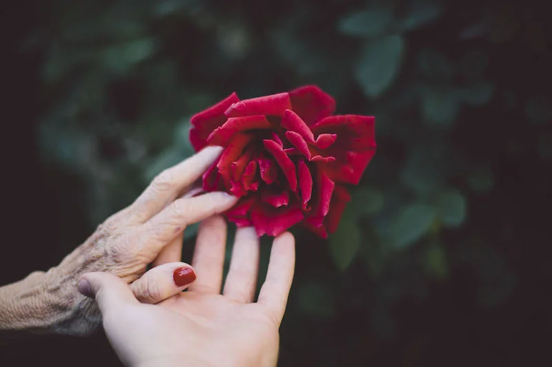hands rose.jpg