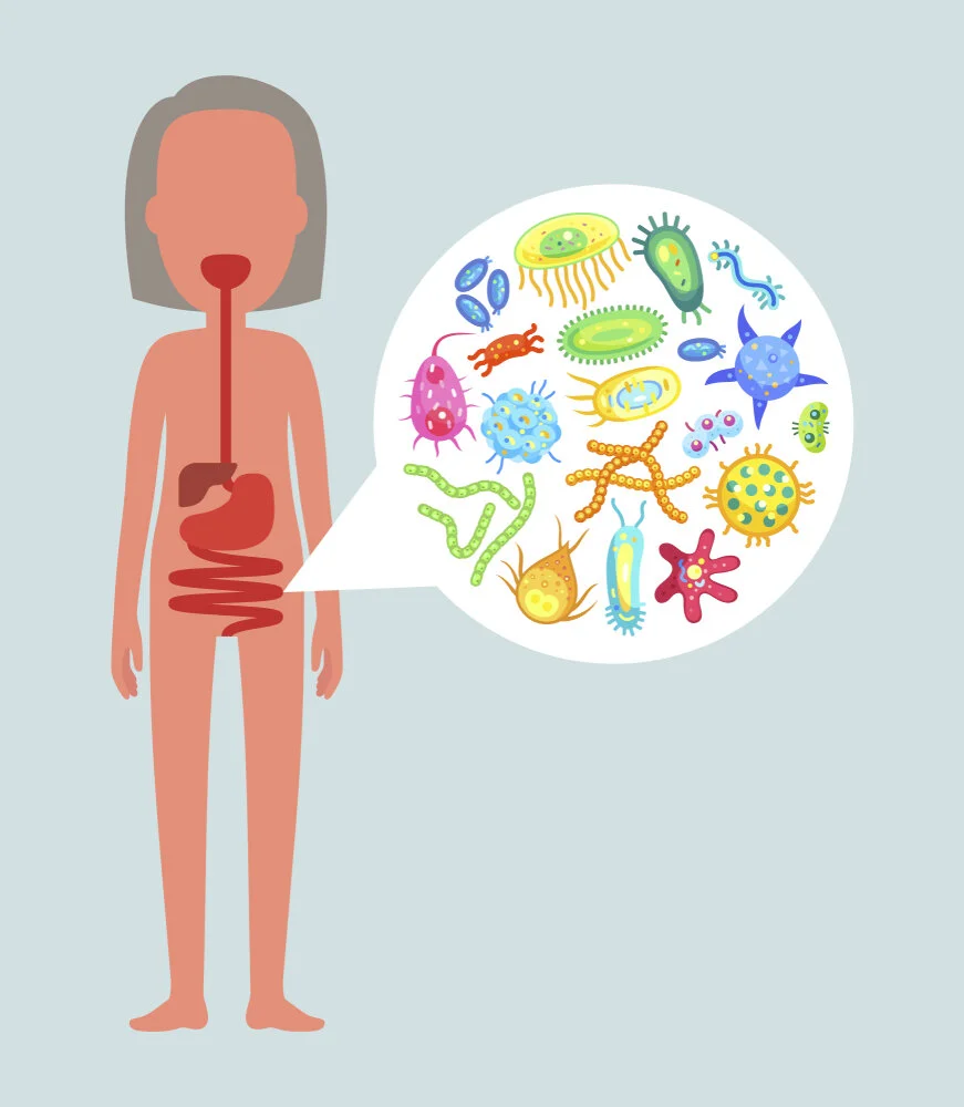 The Gut as GROUND ZERO: the secret to feeling real good