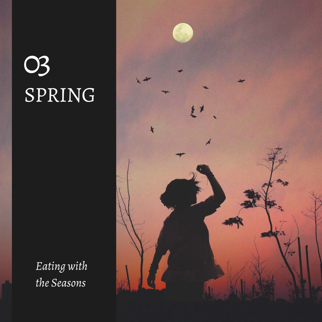 03 spring main square.png