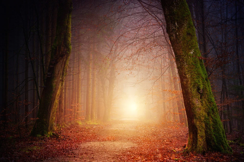 fall pathway light.jpg