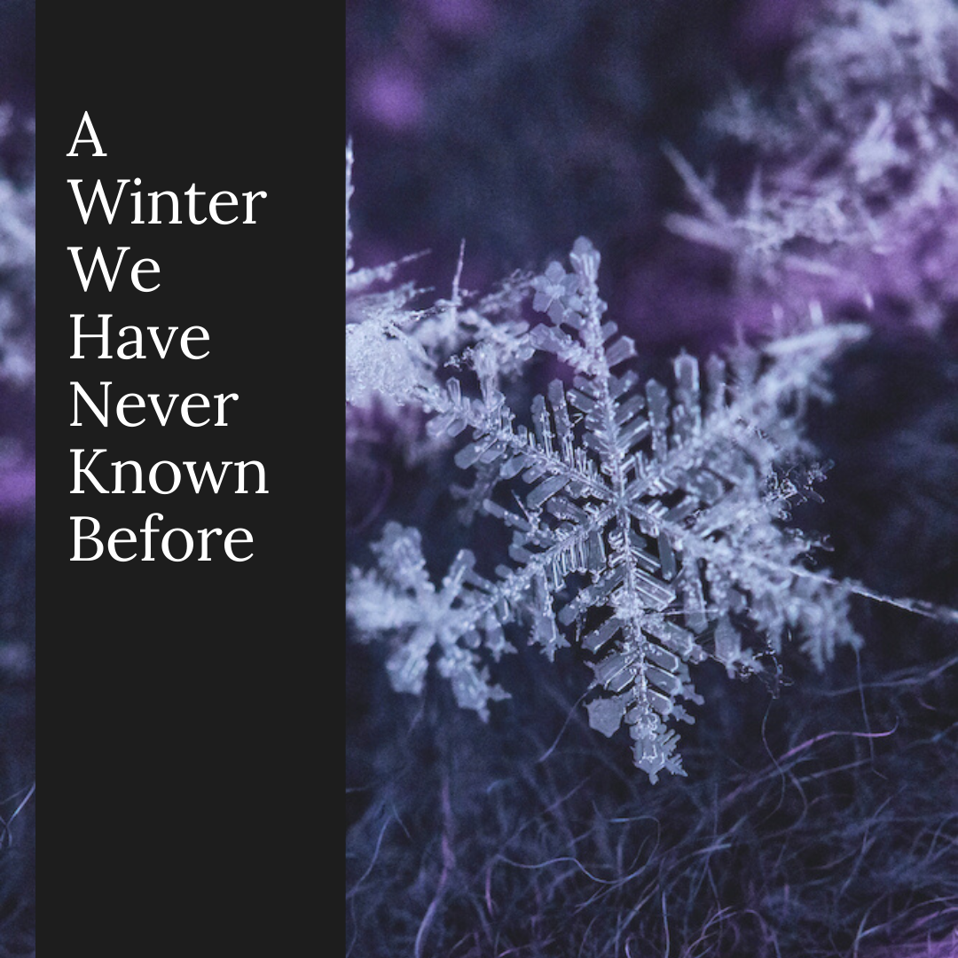 A Winter We Have Never Known Before.png