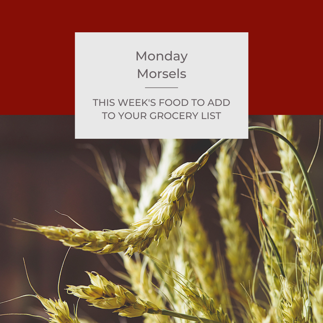 Monday Morsels: Healthy Aging Support #4