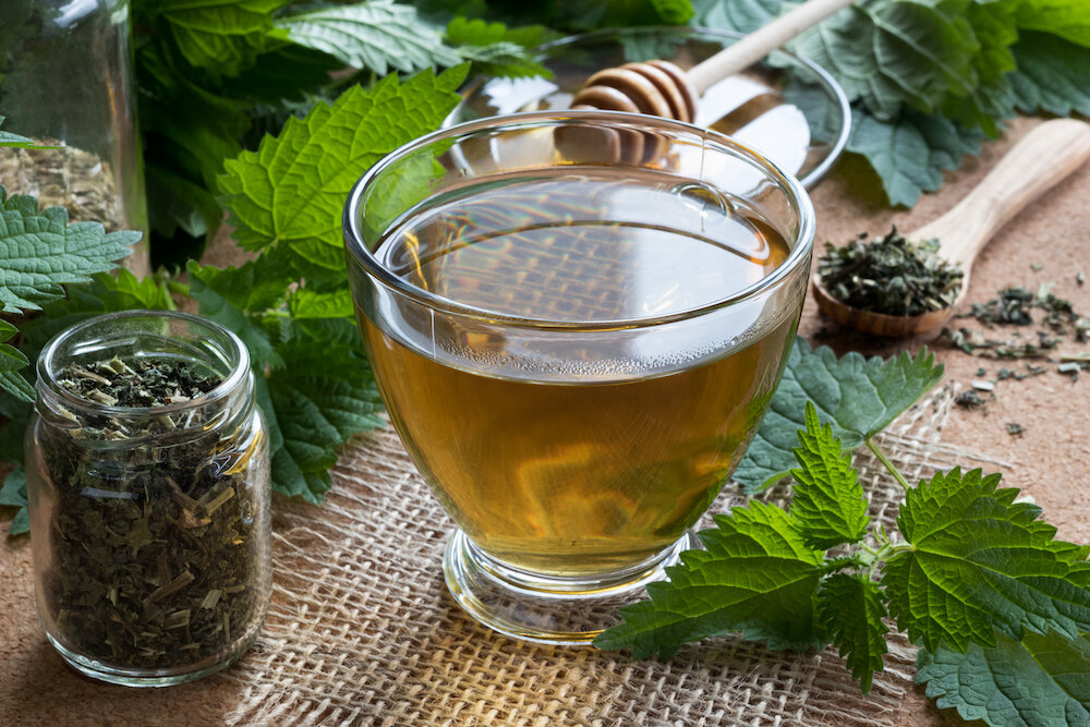 nettle tea.jpg