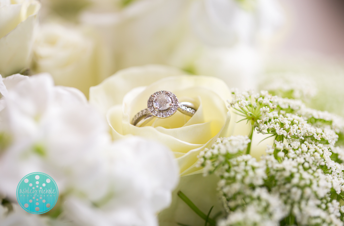 Marasa Wedding 9.26.15- ©Ashley Nichole Photography-99.jpg