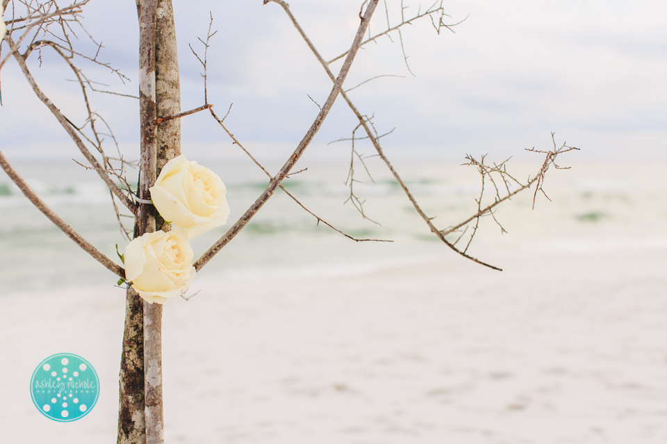 ©Ashley Nichole Photography- Highlands House Wedding- 30A- Santa Rosa Beach-32.jpg