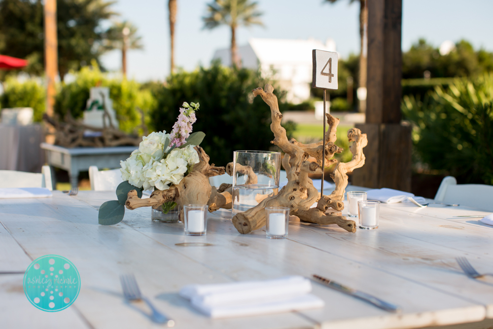 ©Ashley Nichole Photography- beach wedding- Alys Beach- 30A-1.jpg