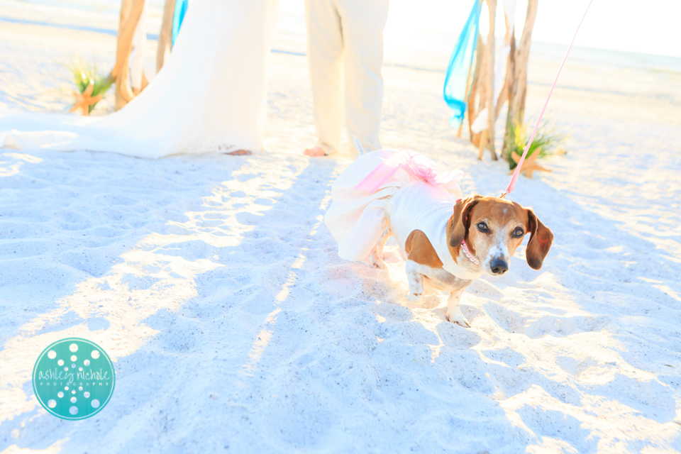 ©Ashley Nichole Photography- Florida Wedding Photographer- Anna Maria Island-71.jpg