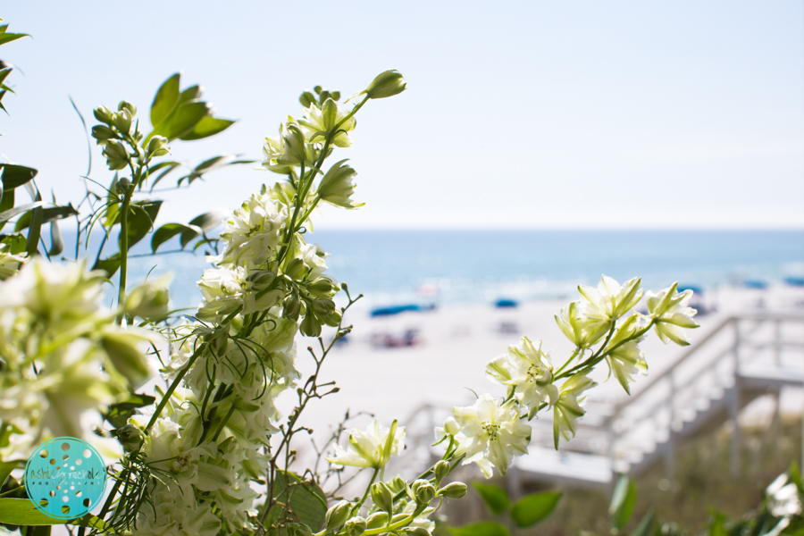 Carillon Beach Wedding, Panama City Beach Florida ©Ashley Nichole Photography-4.jpg