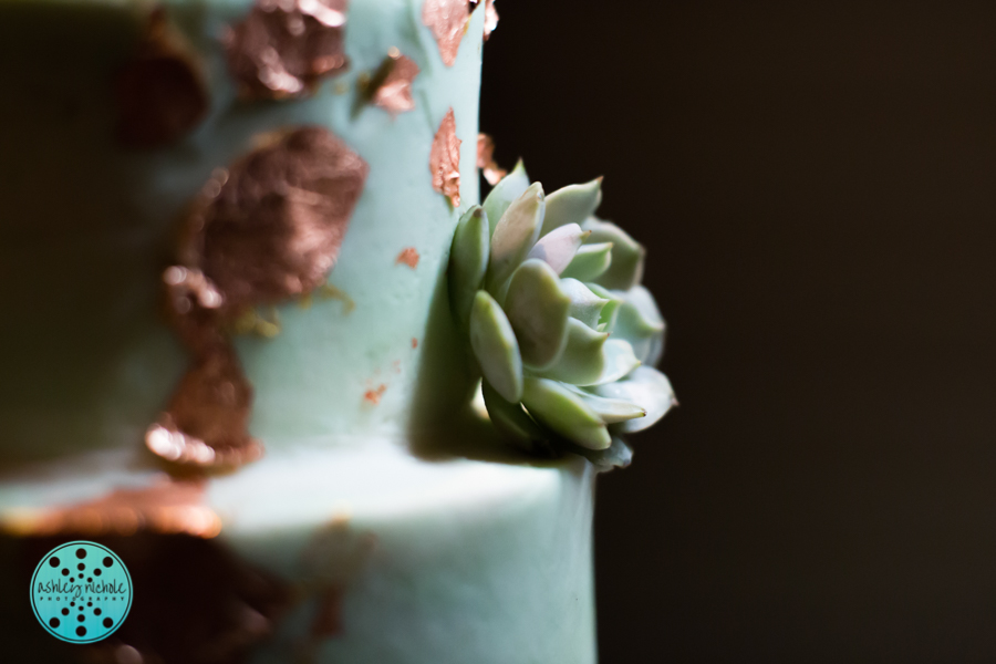 Carillon Beach Wedding, Panama City Beach Florida ©Ashley Nichole Photography-301.jpg