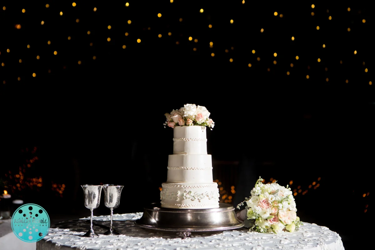30A South Walton Wedding Santa Rosa Beach Wedding Photographer (C)Ashley Nichole Photography-441.jpg
