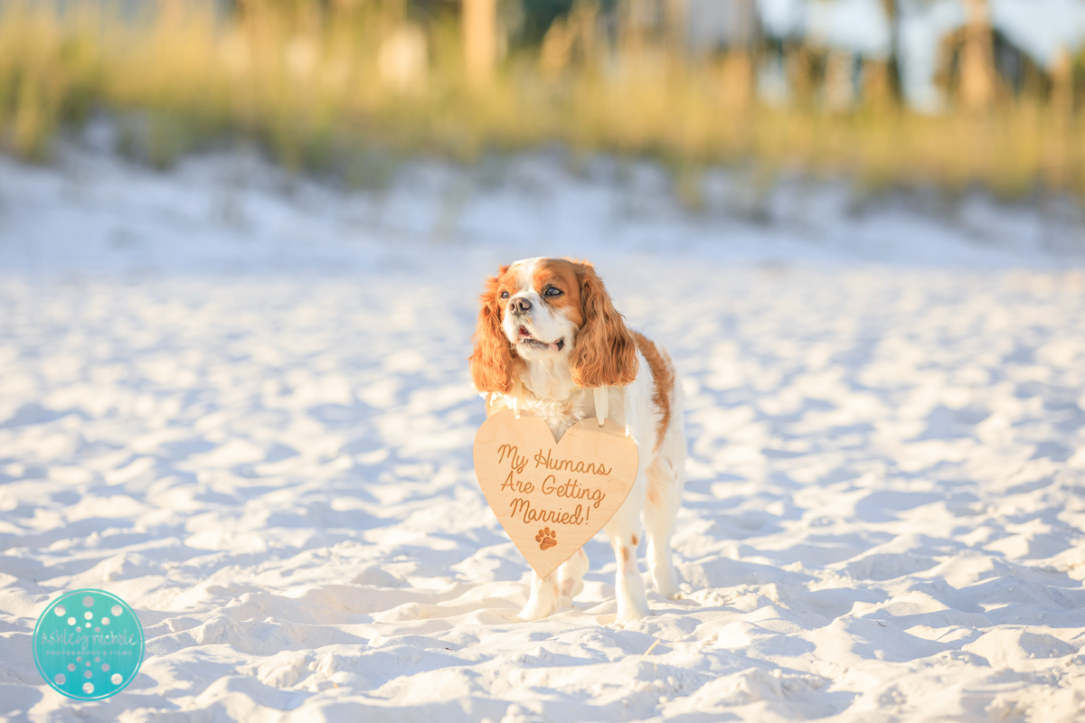 Panama City Beach Wedding Photographer ©Ashley Nichole Photography-155.jpg