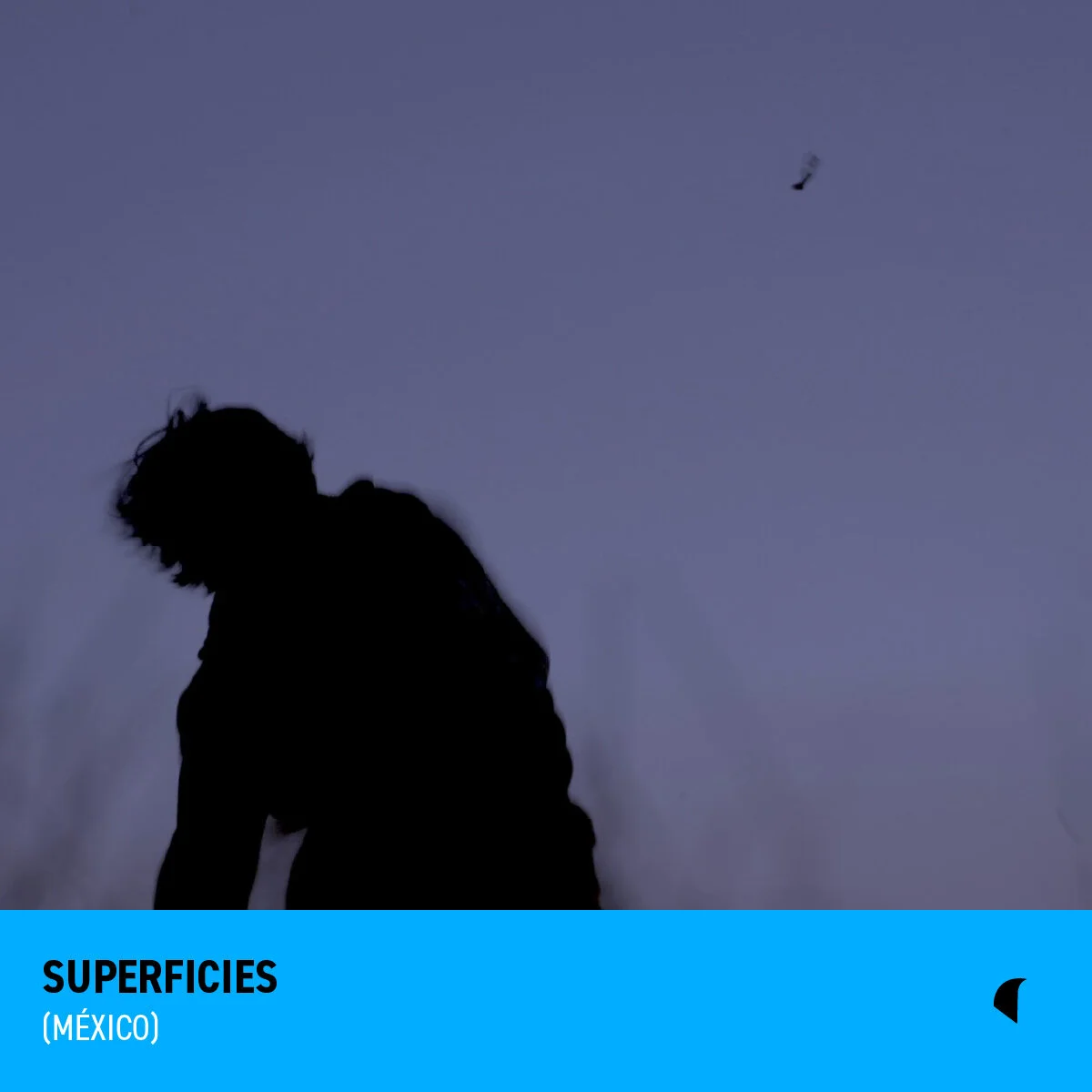 SUPERFICIES