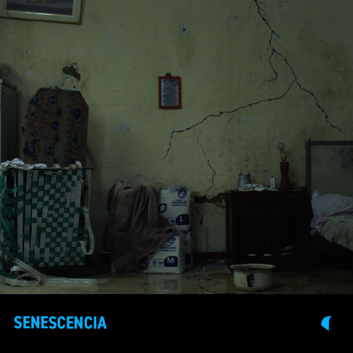 SENESCENCIA