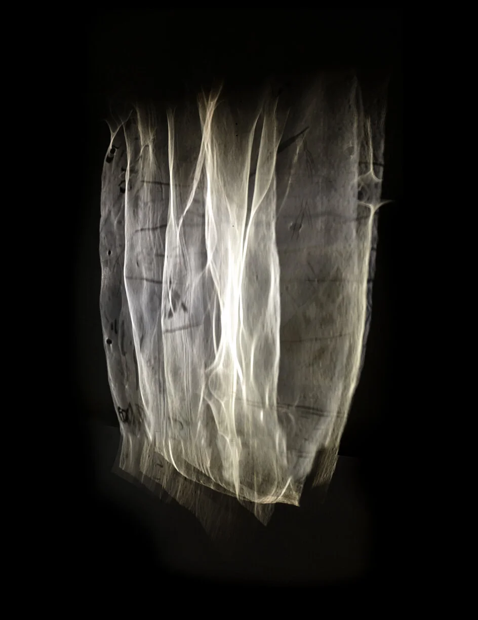 Futures Possible detail A creative collaboration with Mic Billingsley For more images, visit Studio Billingsley digital photograph 2017