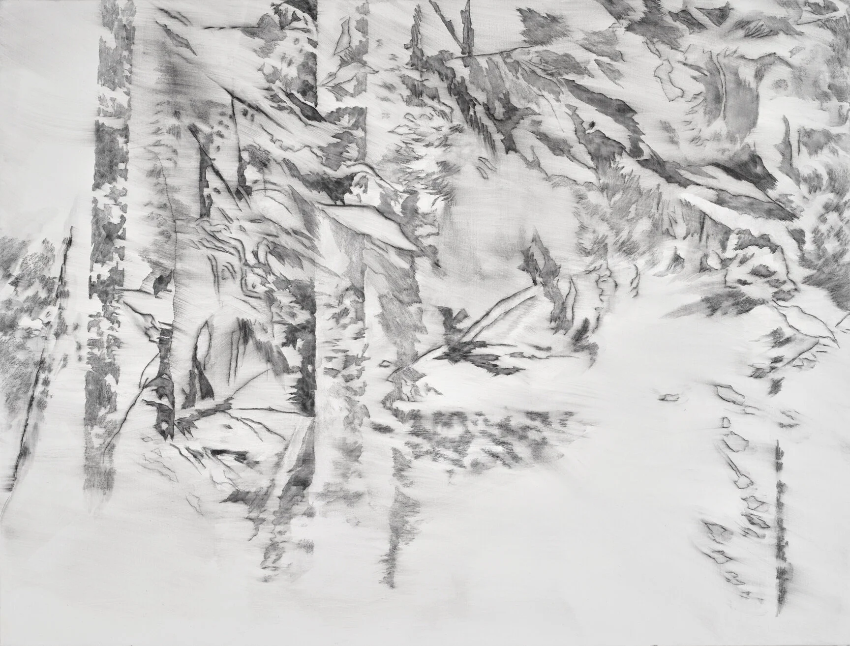  charcoal on canvas 38 x 50 in. 2019   