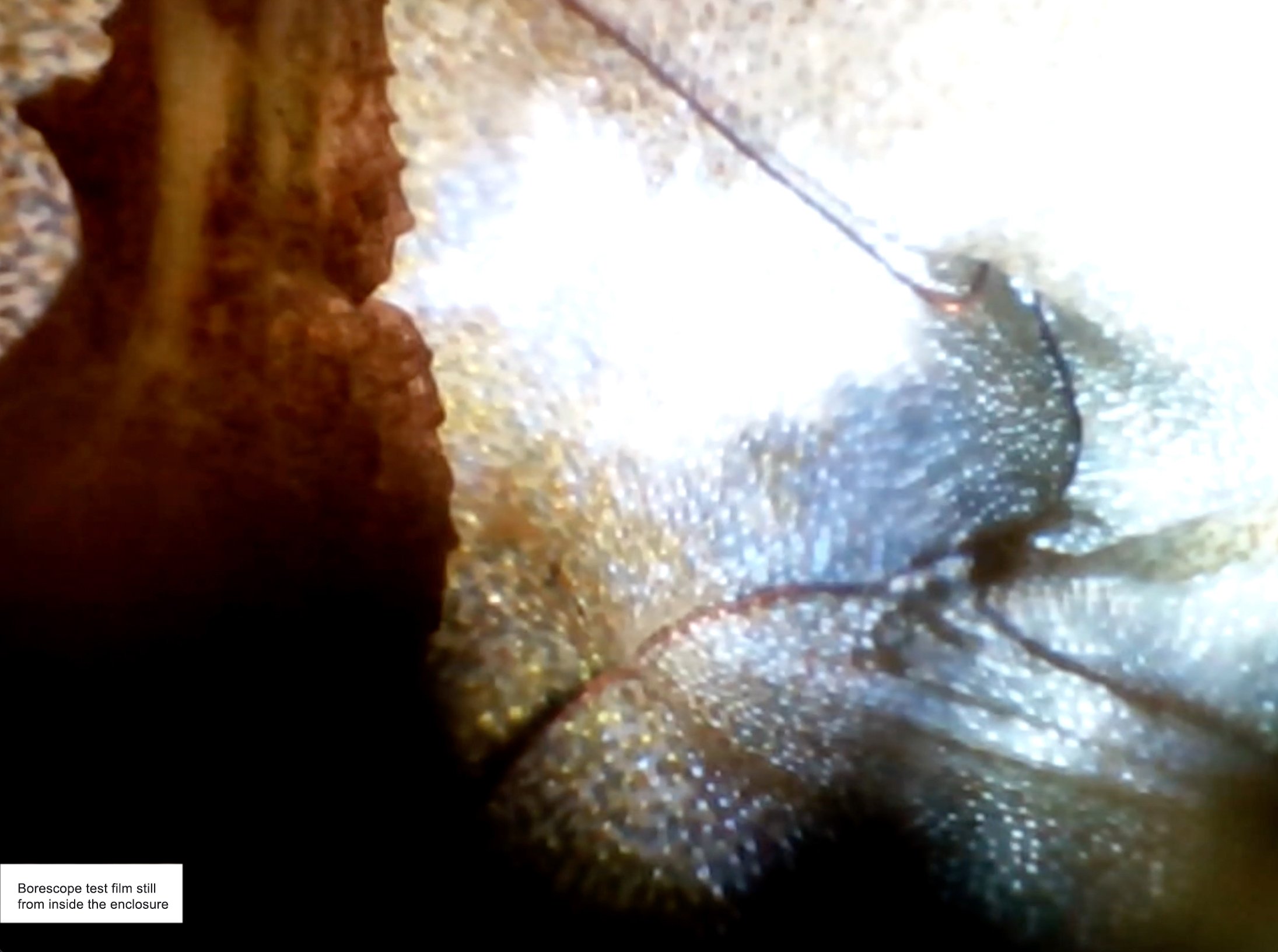 borescope still1.jpg
