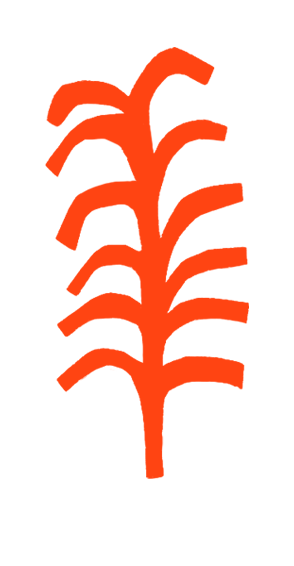 piantina.png