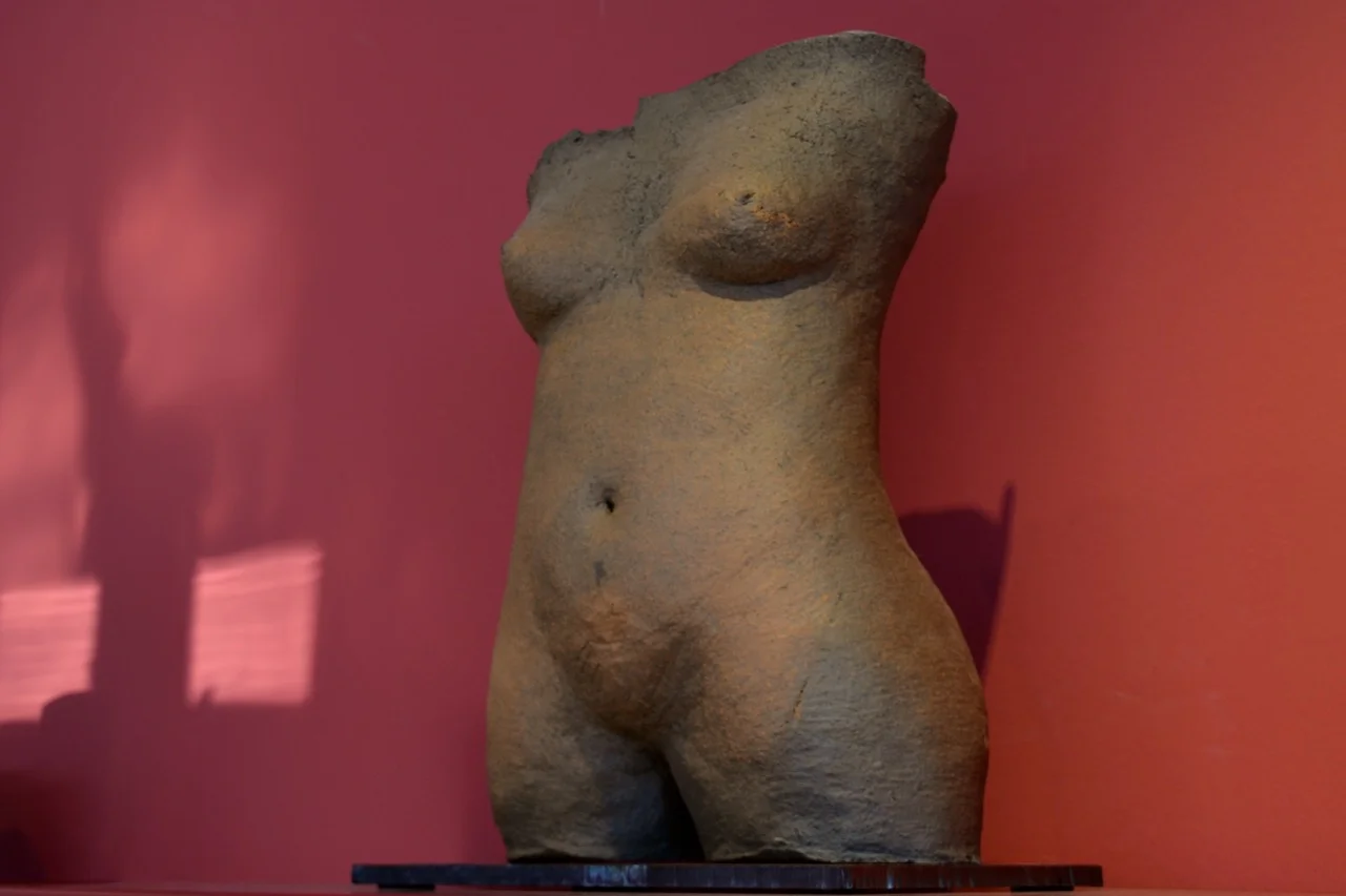Weiblicher Torso.jpg