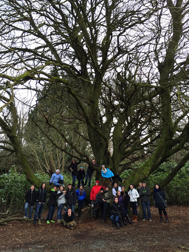 Experts in customized itineraries for tour groups in Ireland. The best group vacations Irish Culture & Heritage, Language, Academic, Alumni, Celtic Spirituality, Christian & Catholic Pilgrimages.