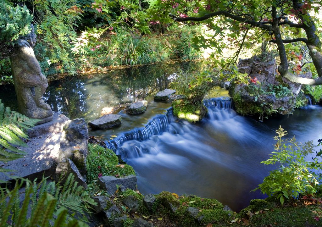 Irish National Stud & Japanese Gardens