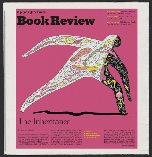 New York Times Book Review