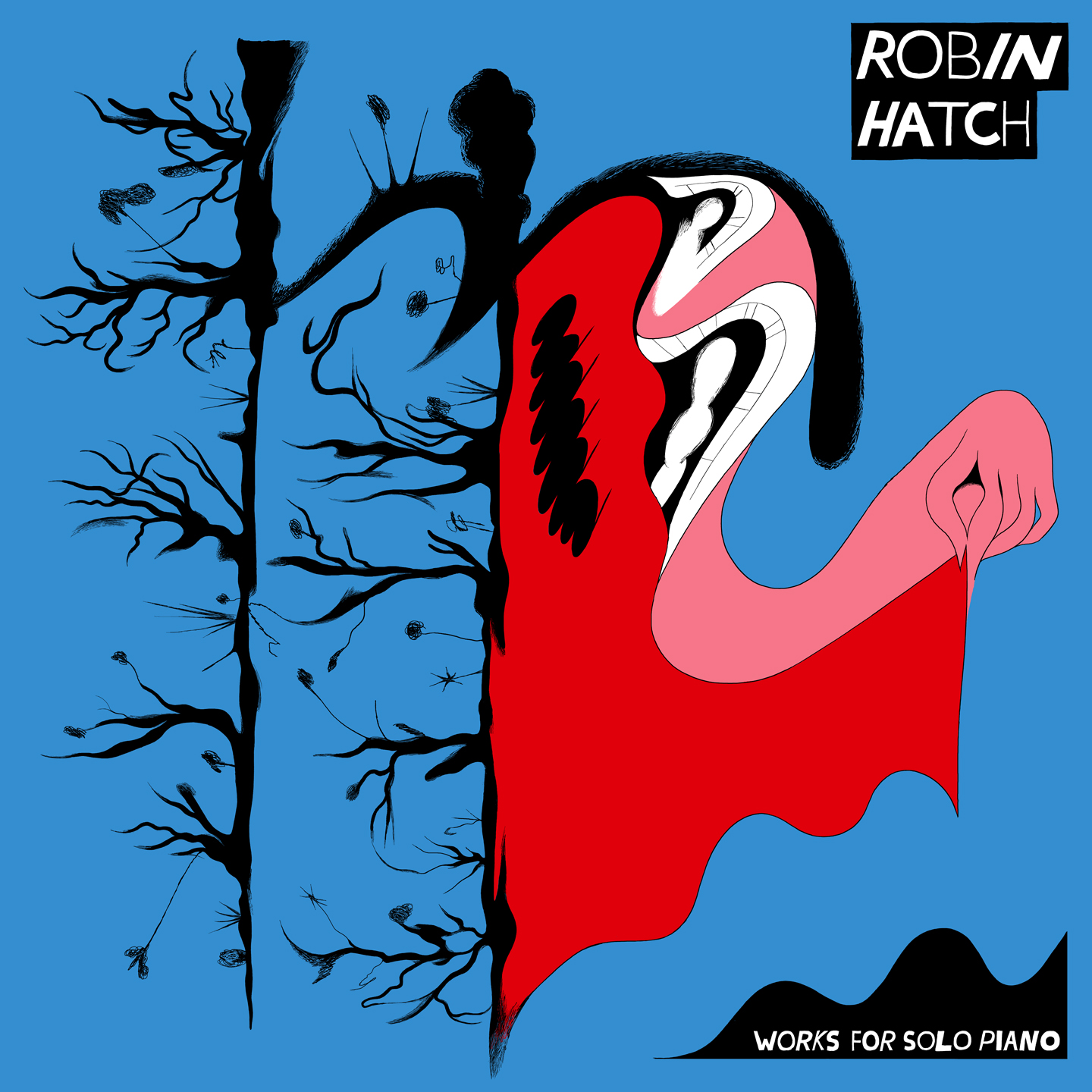  Album artwork for Robin Hatch 