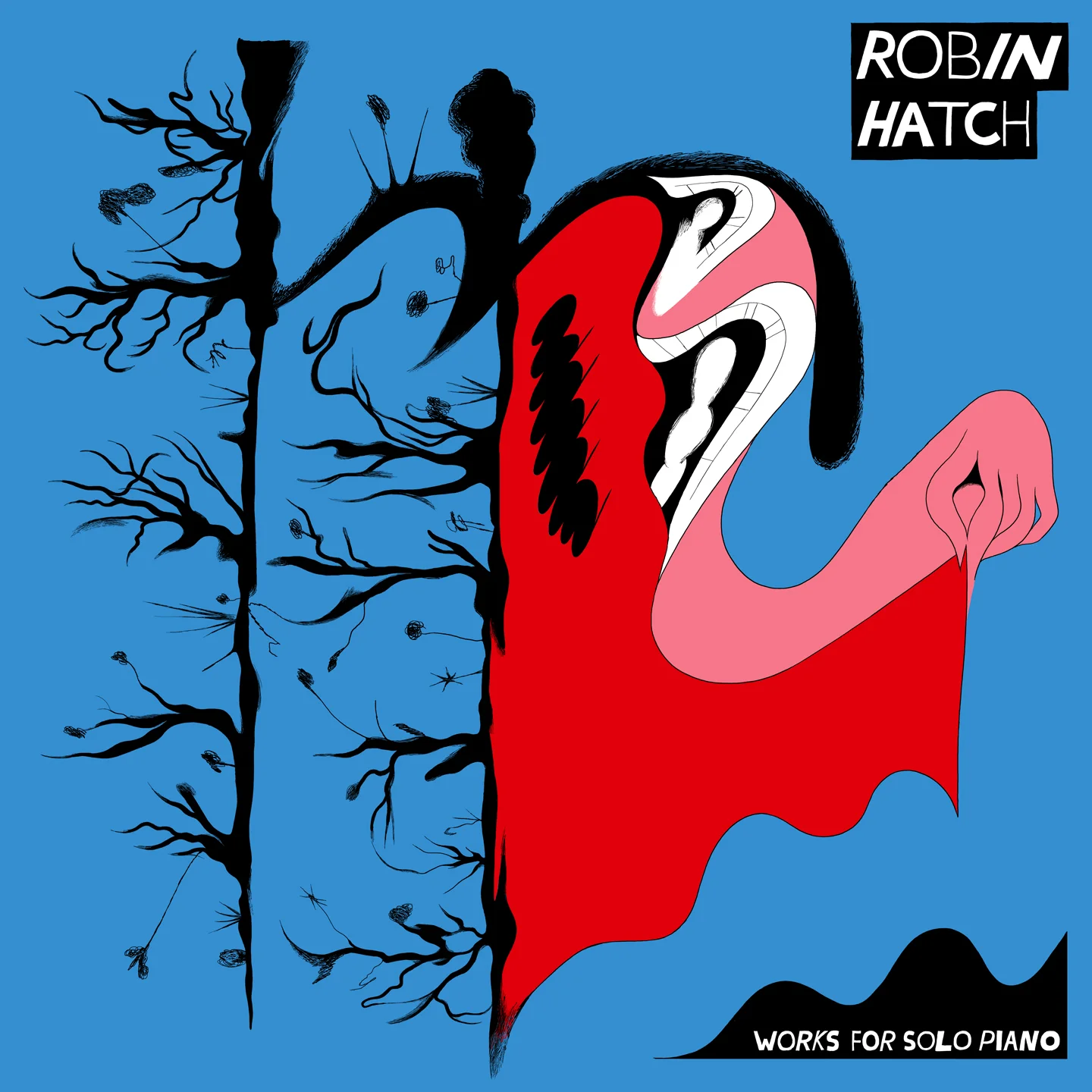 Album artwork for Robin Hatch