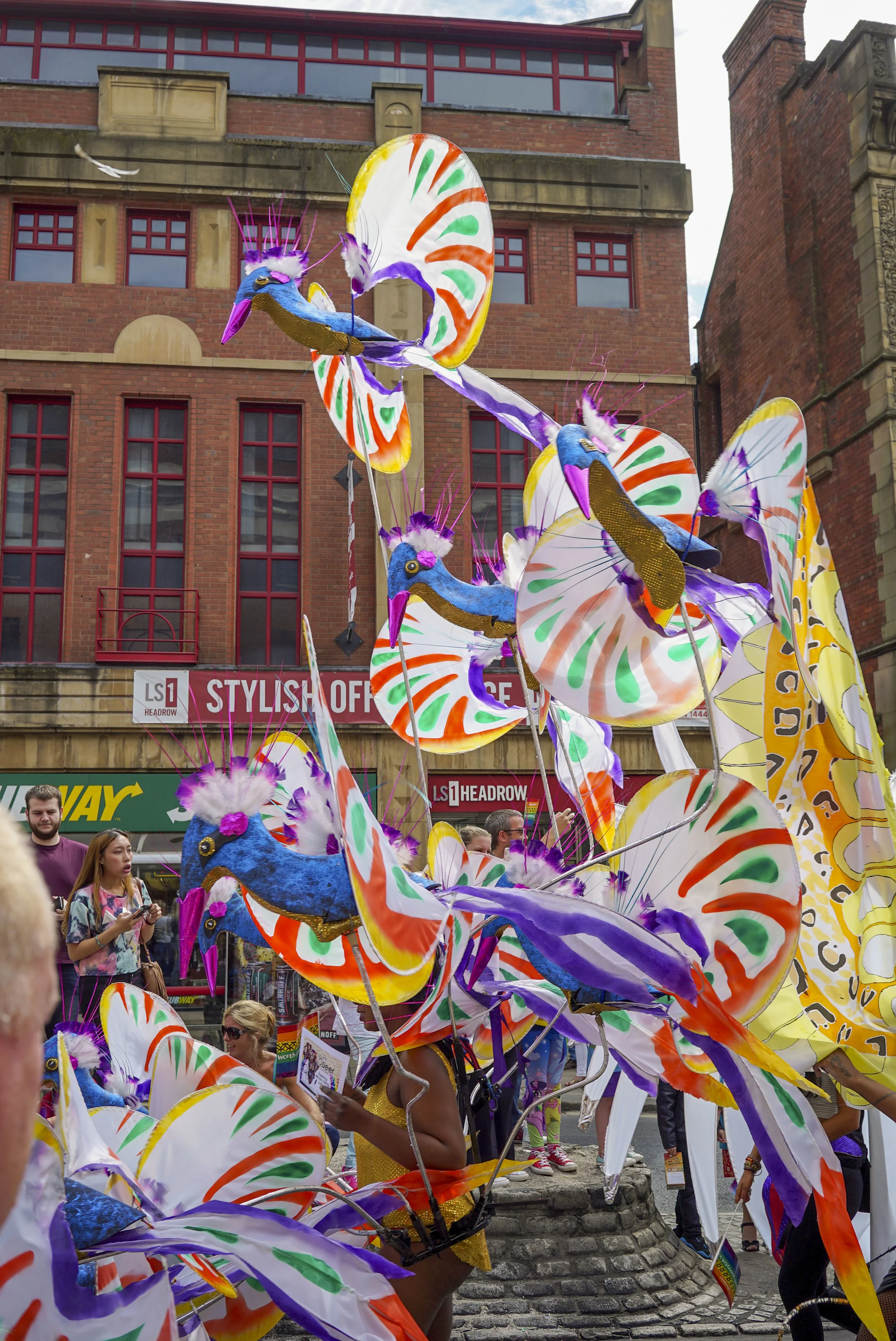 dsc08498_20262281301_o.jpg