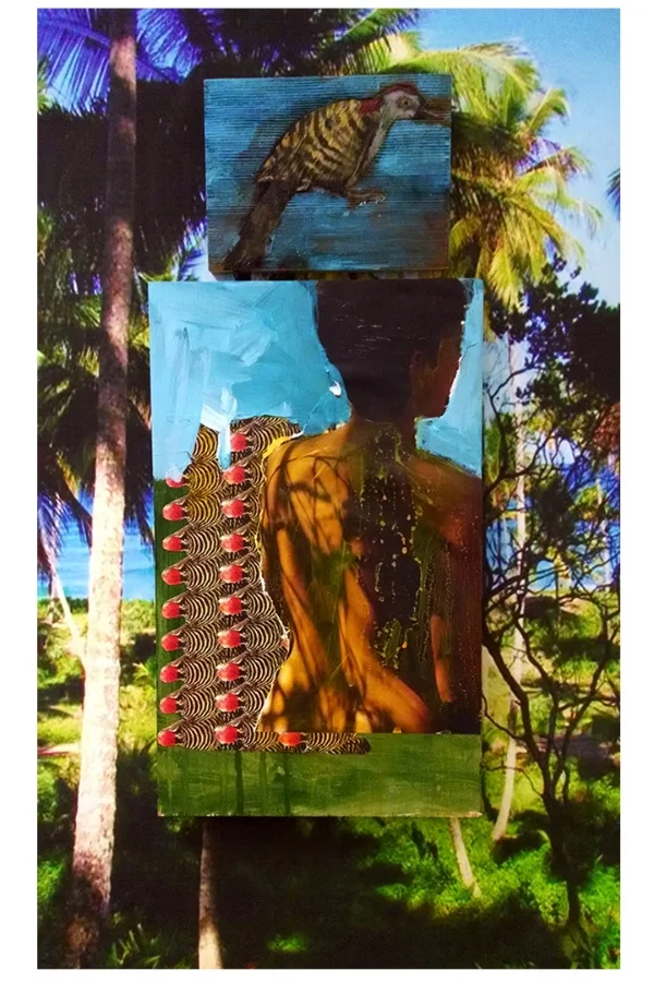 Salvaje Creacion/La ma' natural