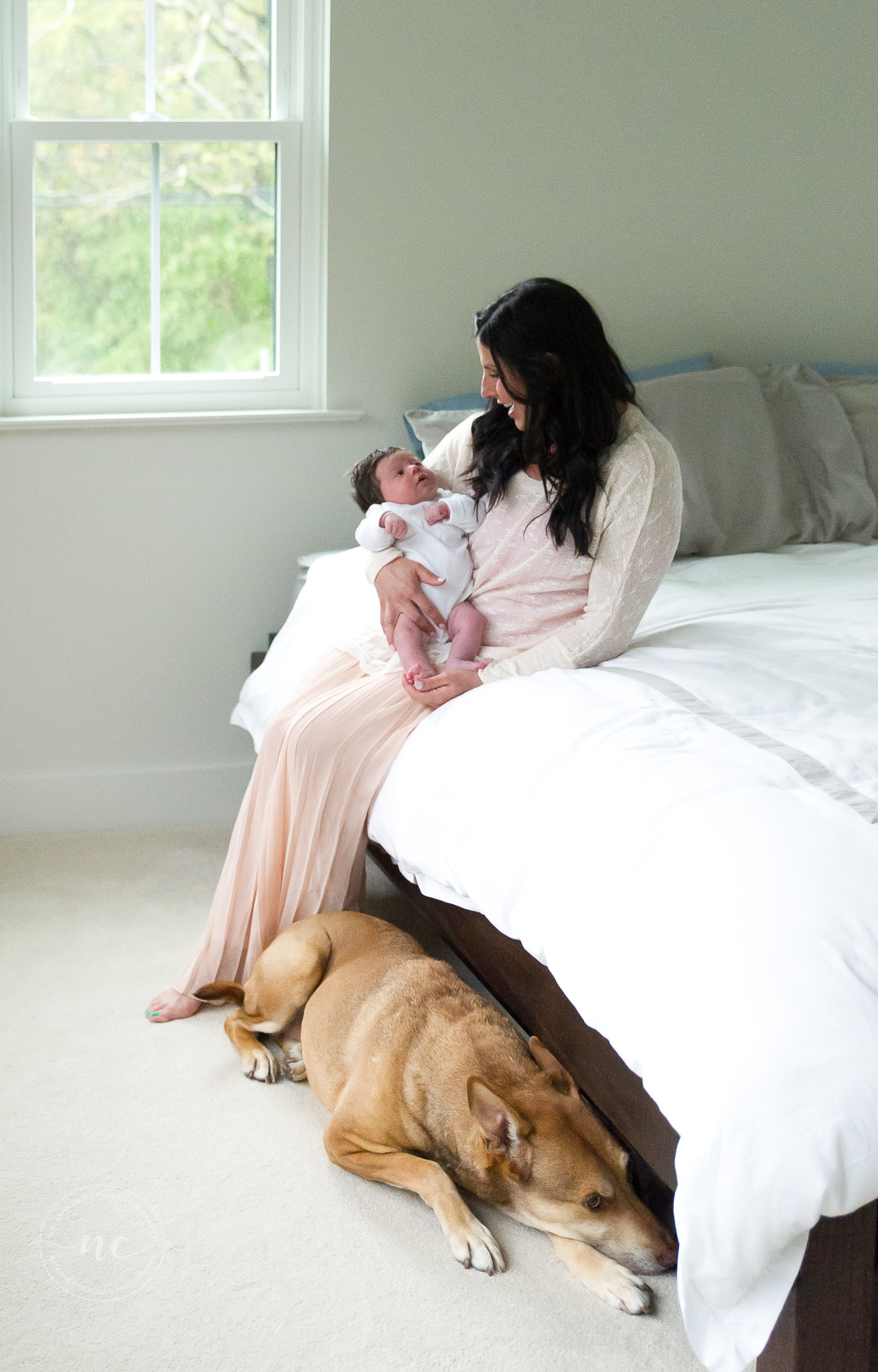 in home newborn session