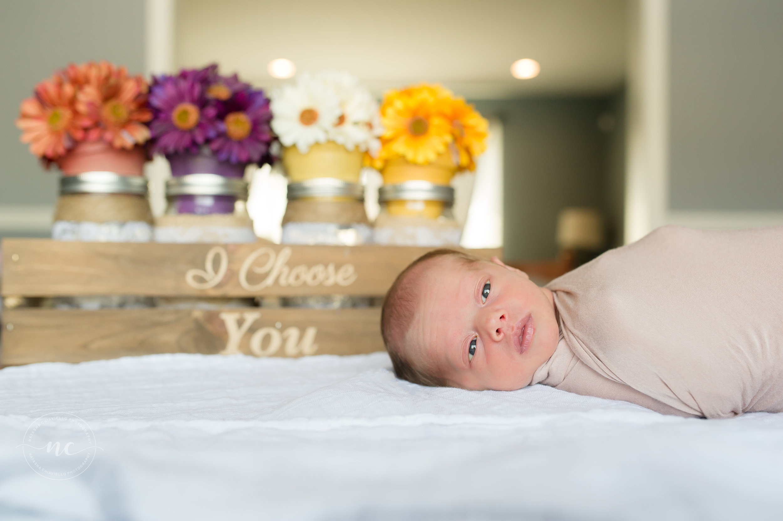 Fall Inspired Newborn Image www.natashachiaviello.com