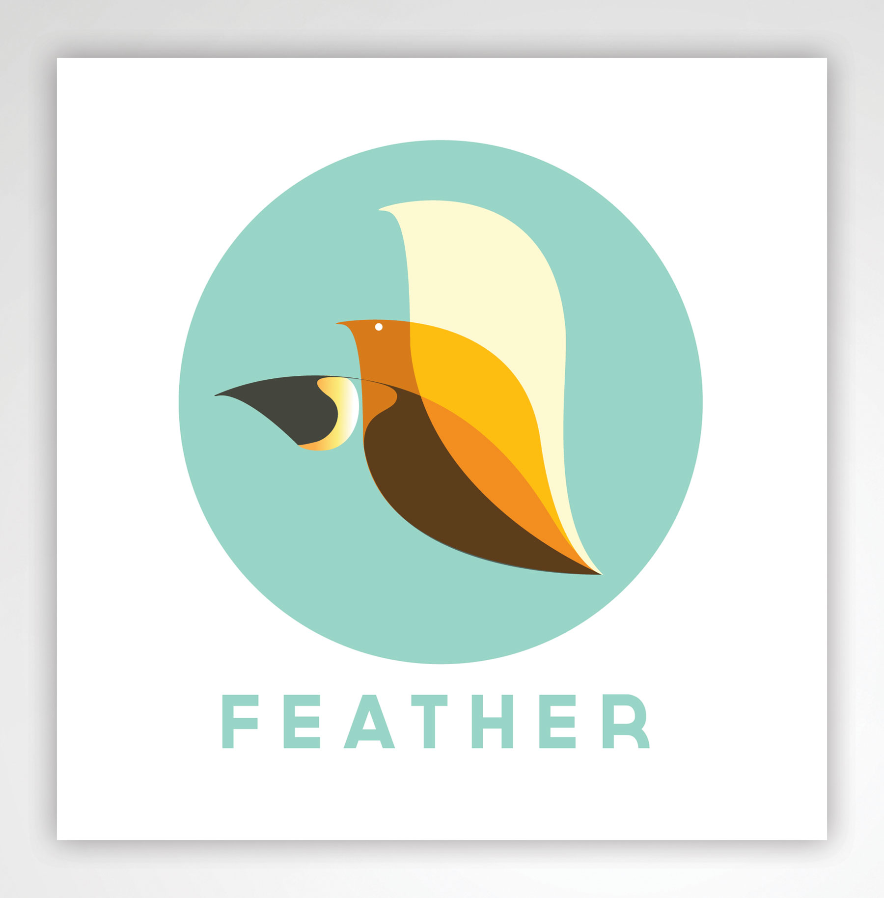 feather.jpg