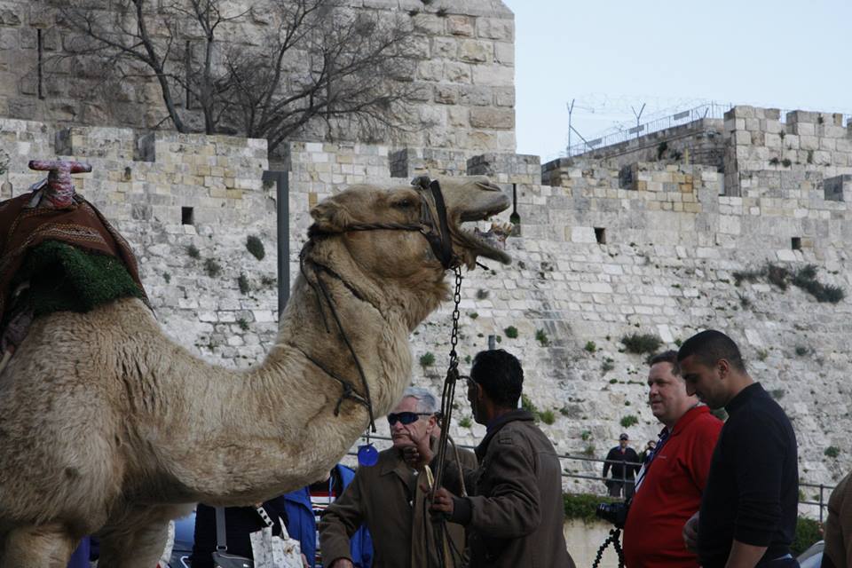 JewishFederationLeadershipGroup_March2015-24.jpg