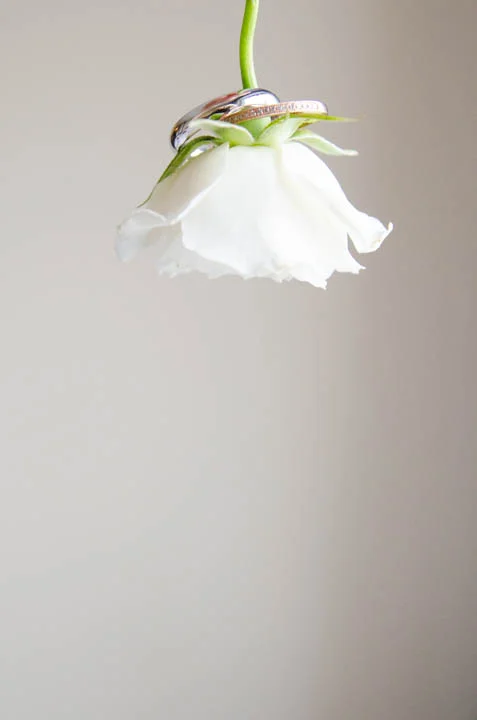 portfolio5-1.jpg