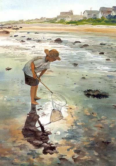 Morning Star - #23, Card