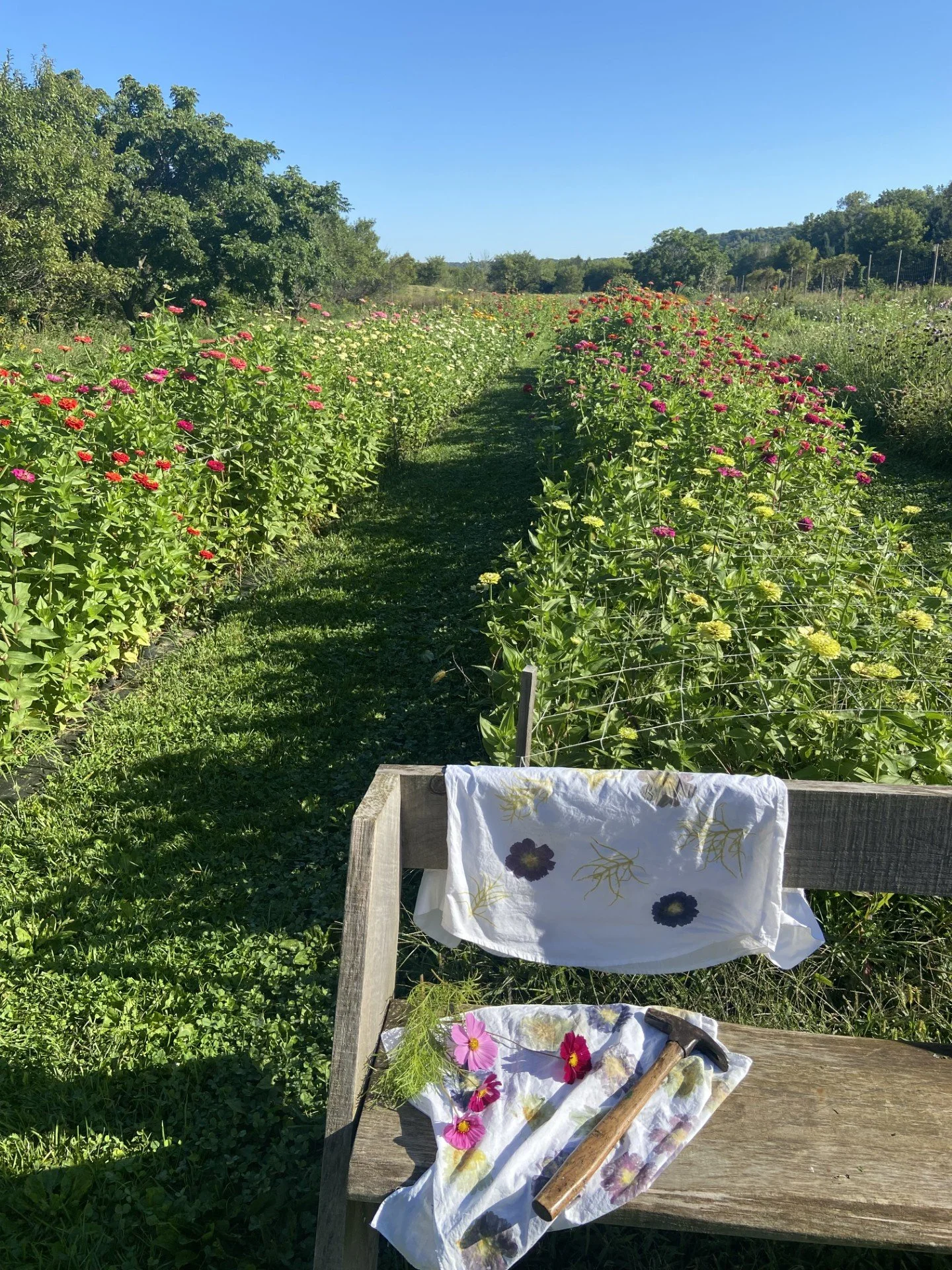 Sept 20 - Flower Eco Printing on Fabric