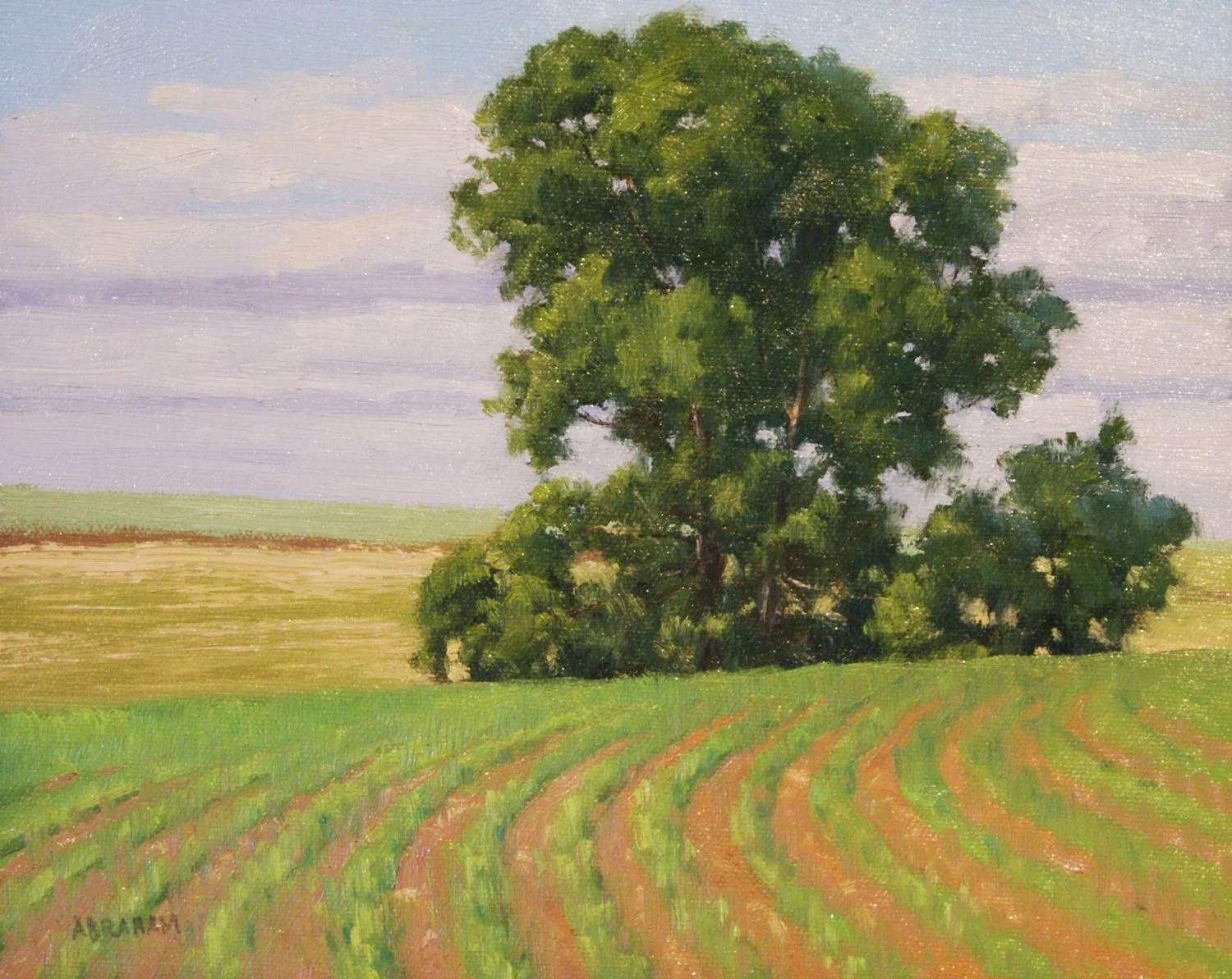 Richard Abraham - County Road