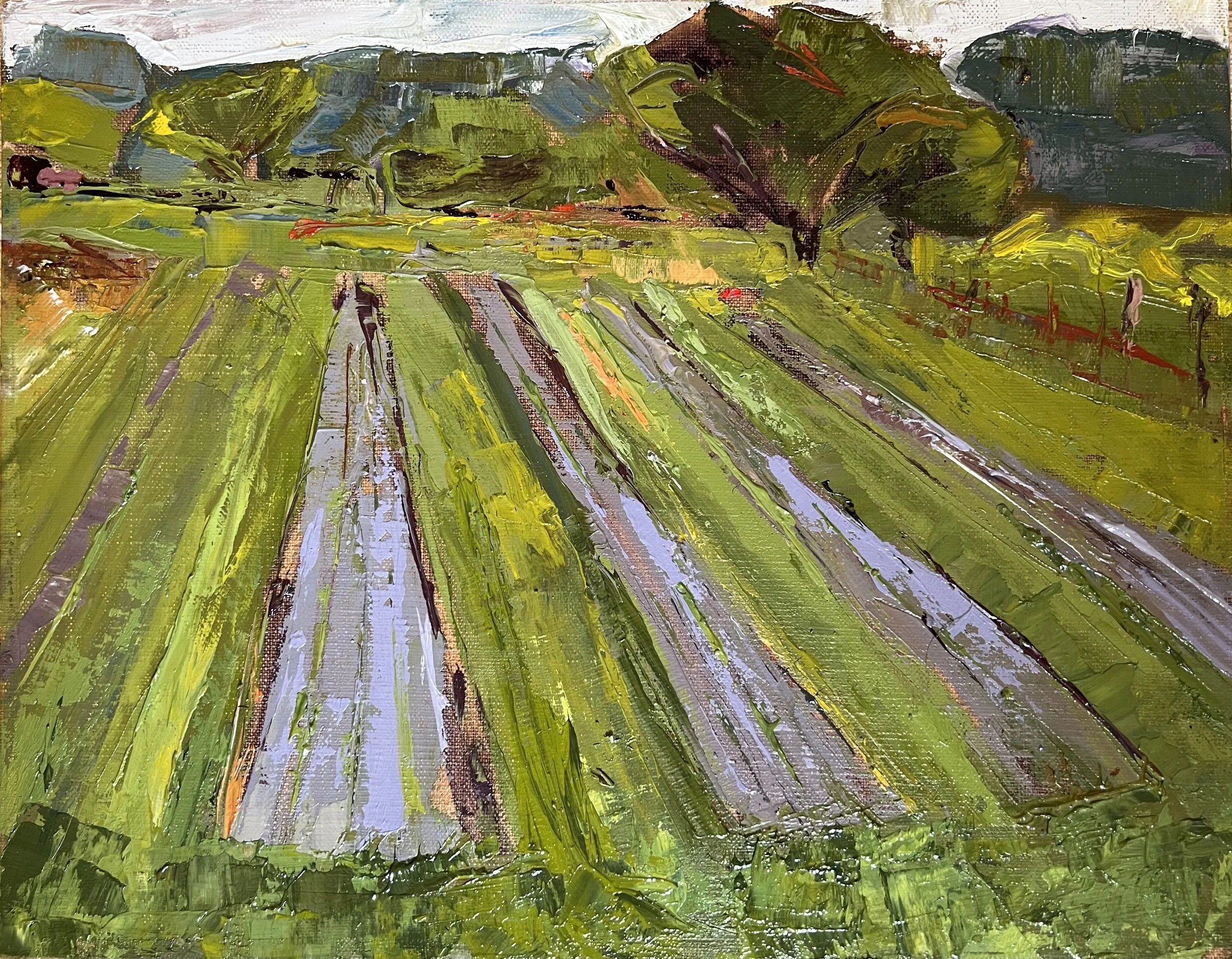 Lynn Brown - Soon to be Flowers