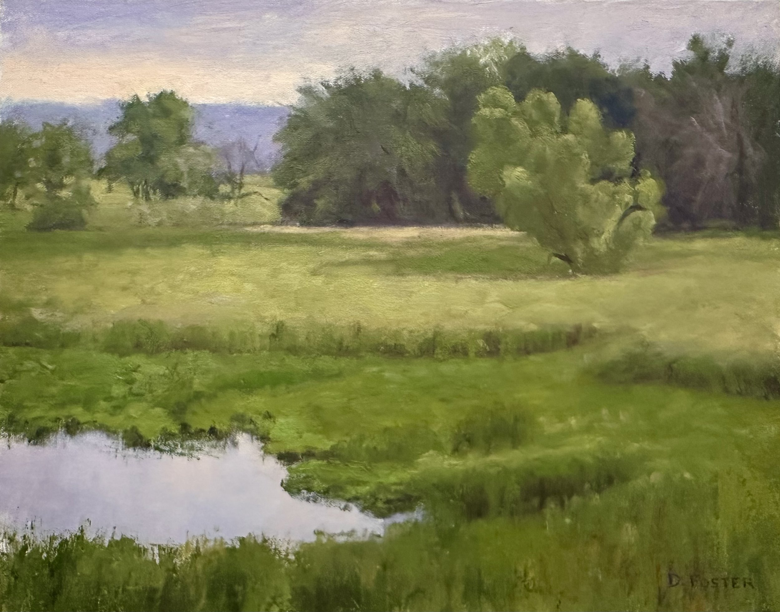 Diane Foster - Between Rainstorms