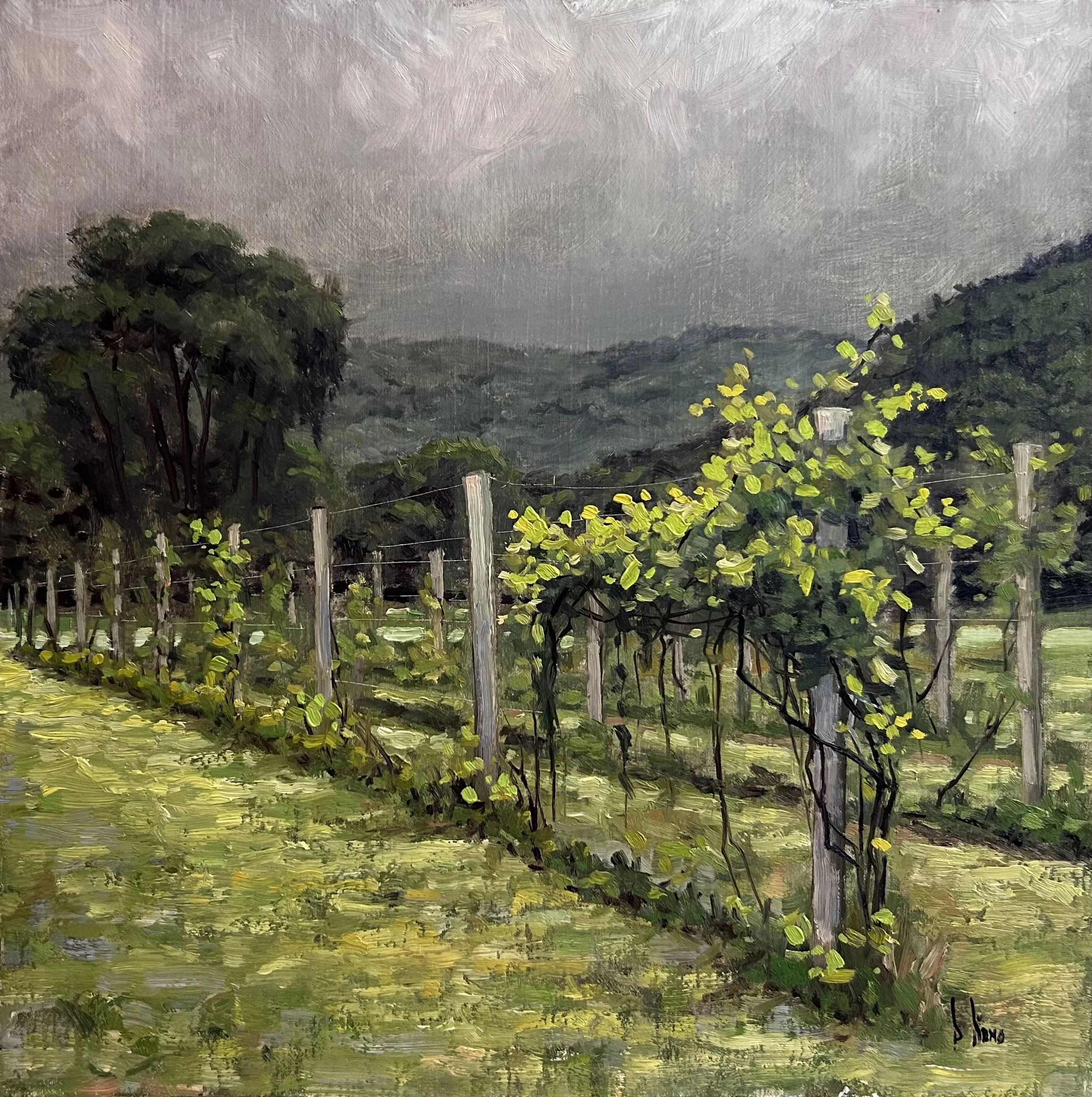 David Nemo - Cloudy With a Chance of Vino