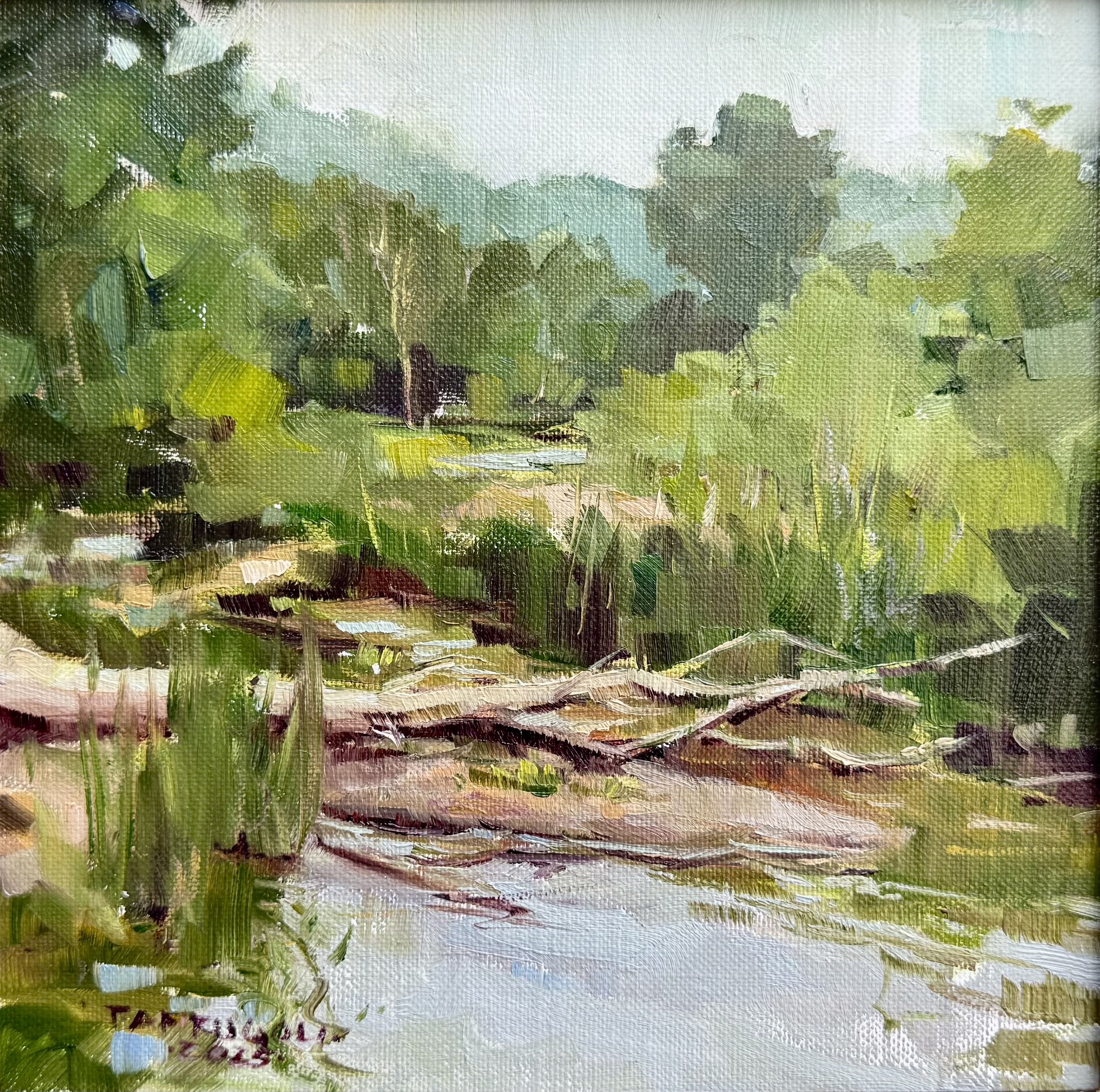 Tracey Frugoli - Quiet Contemplation