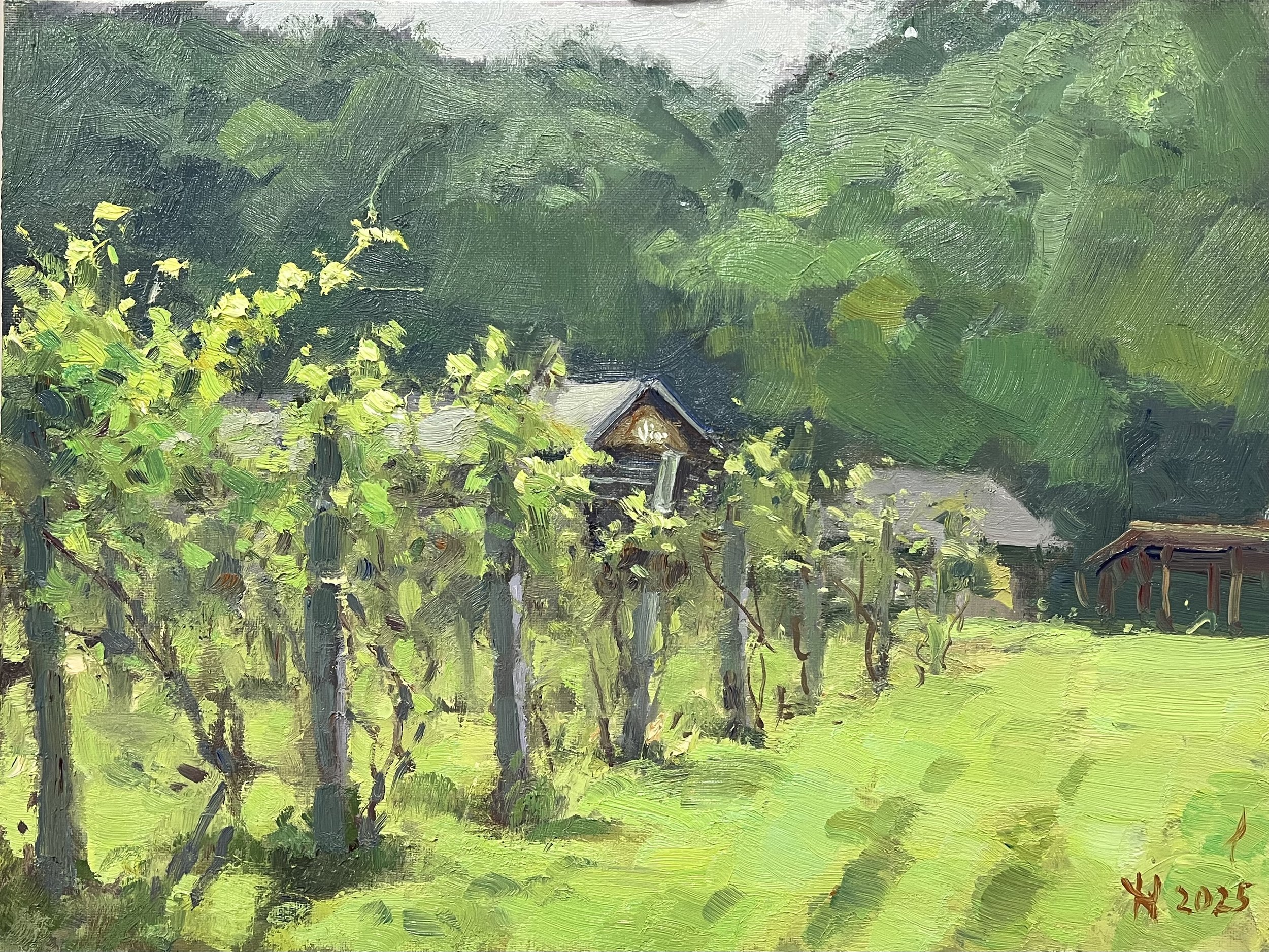 Ylli Haruni - Vino in the Valley