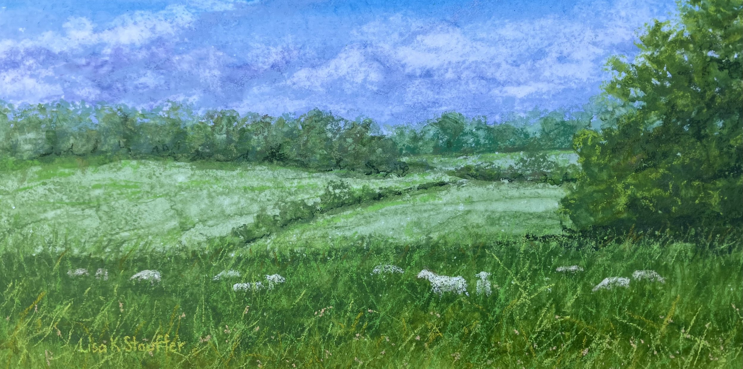 Lisa Stauffer - Grazing with a View