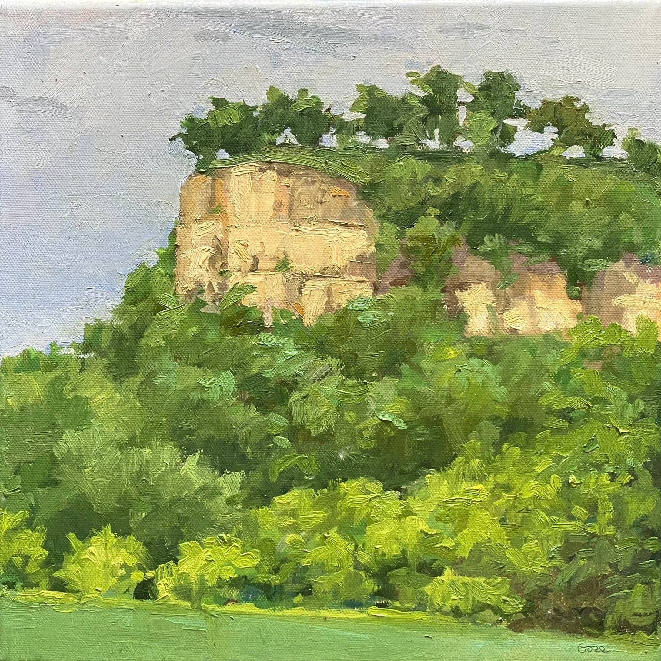 Elissa Gore - Rattlesnake Bluff