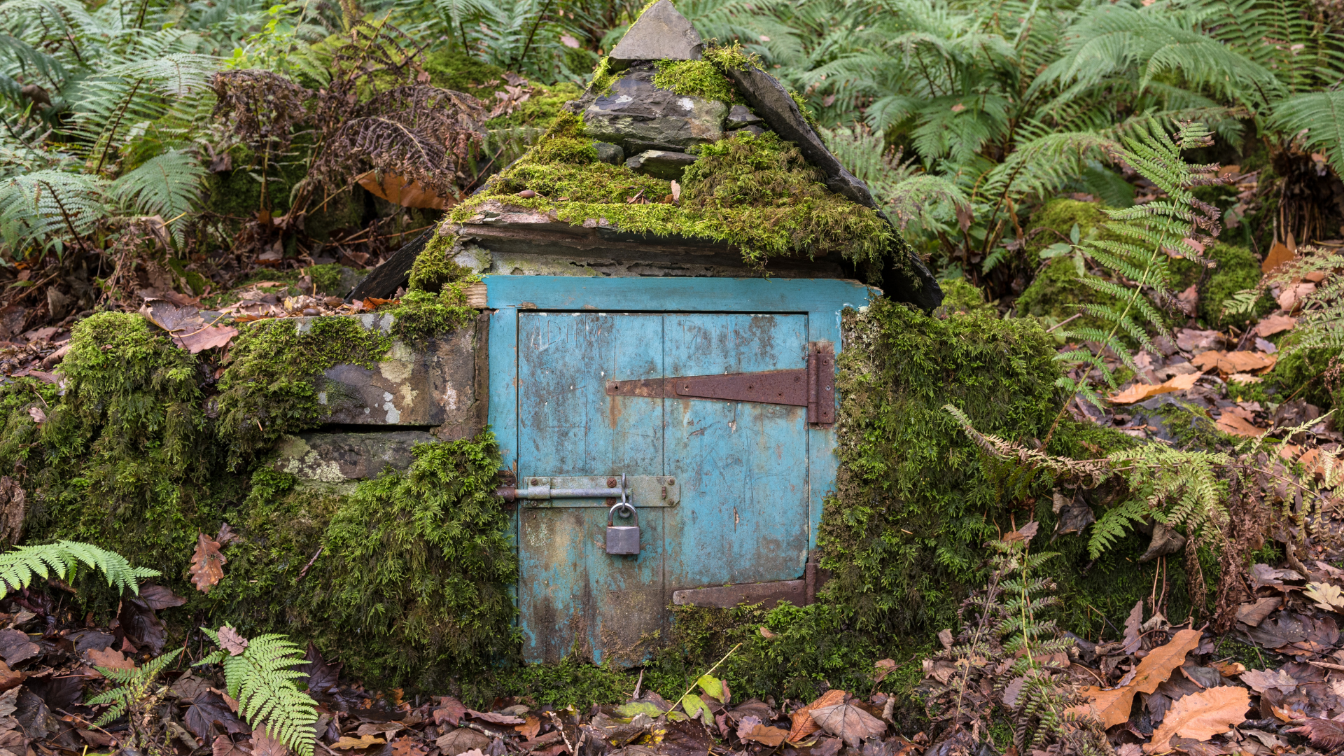 Community Saturday - Fairy Doors with Trudi Schaefer
