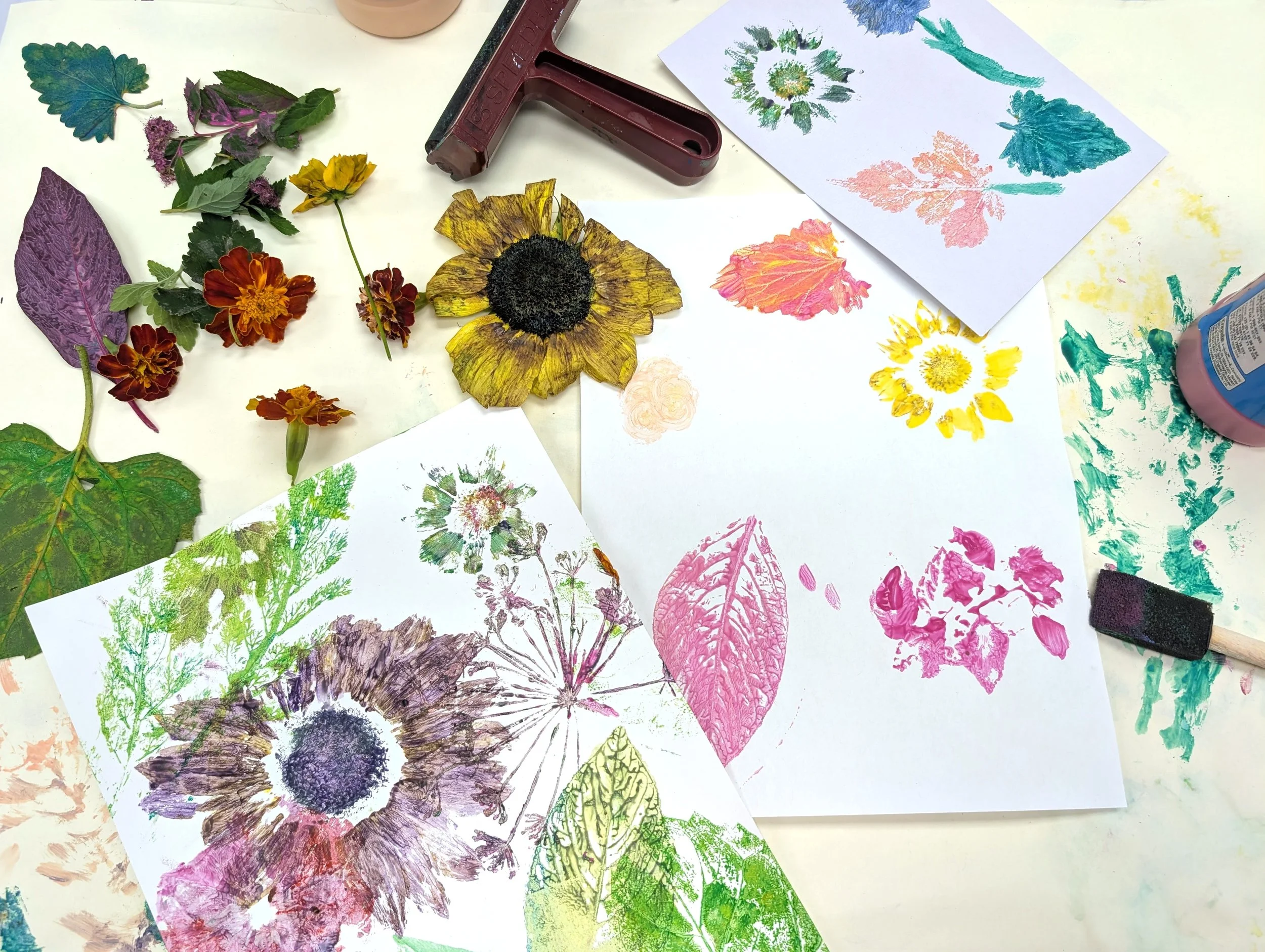 Printing With Nature, Gr K-1