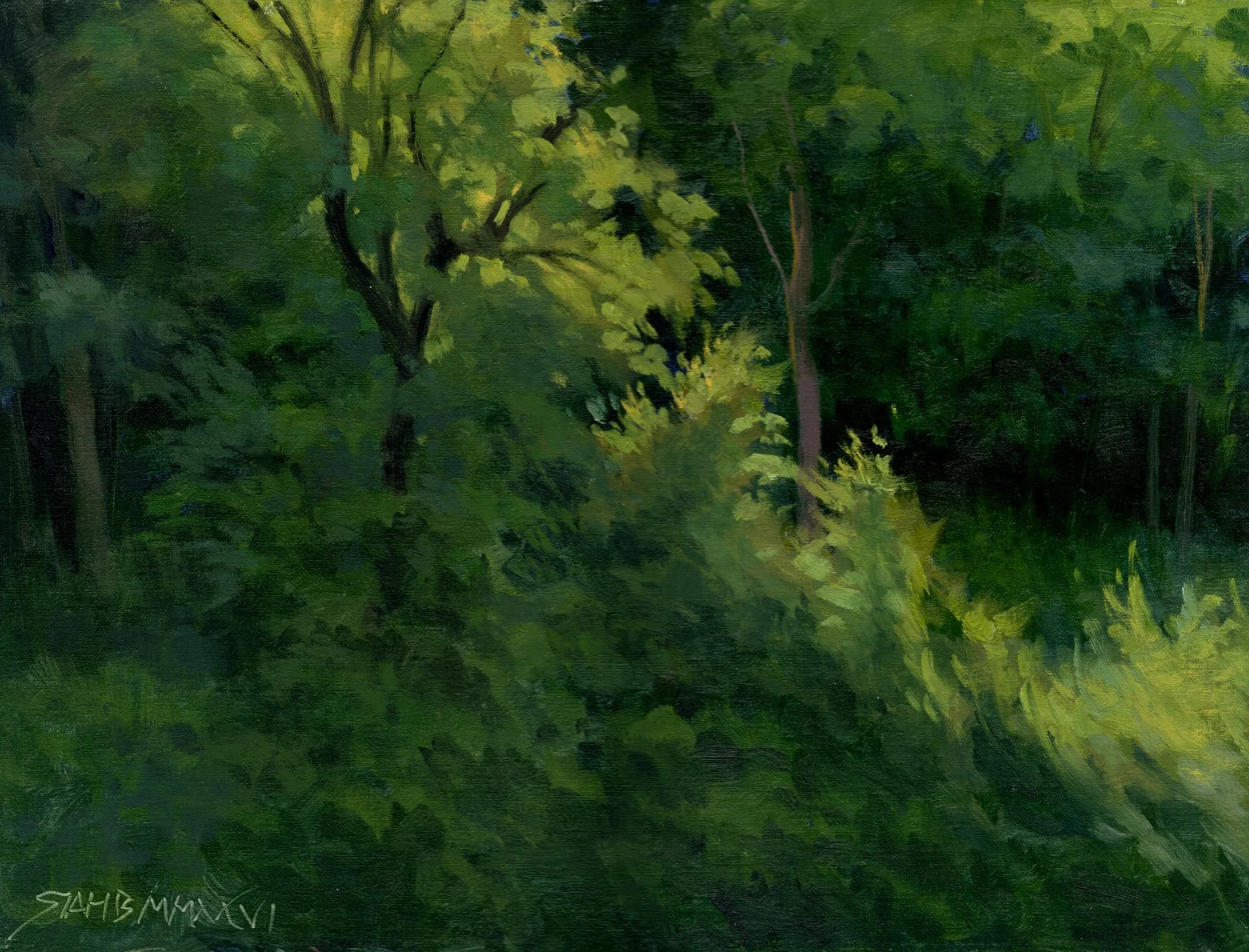 Bonawitz, Robert