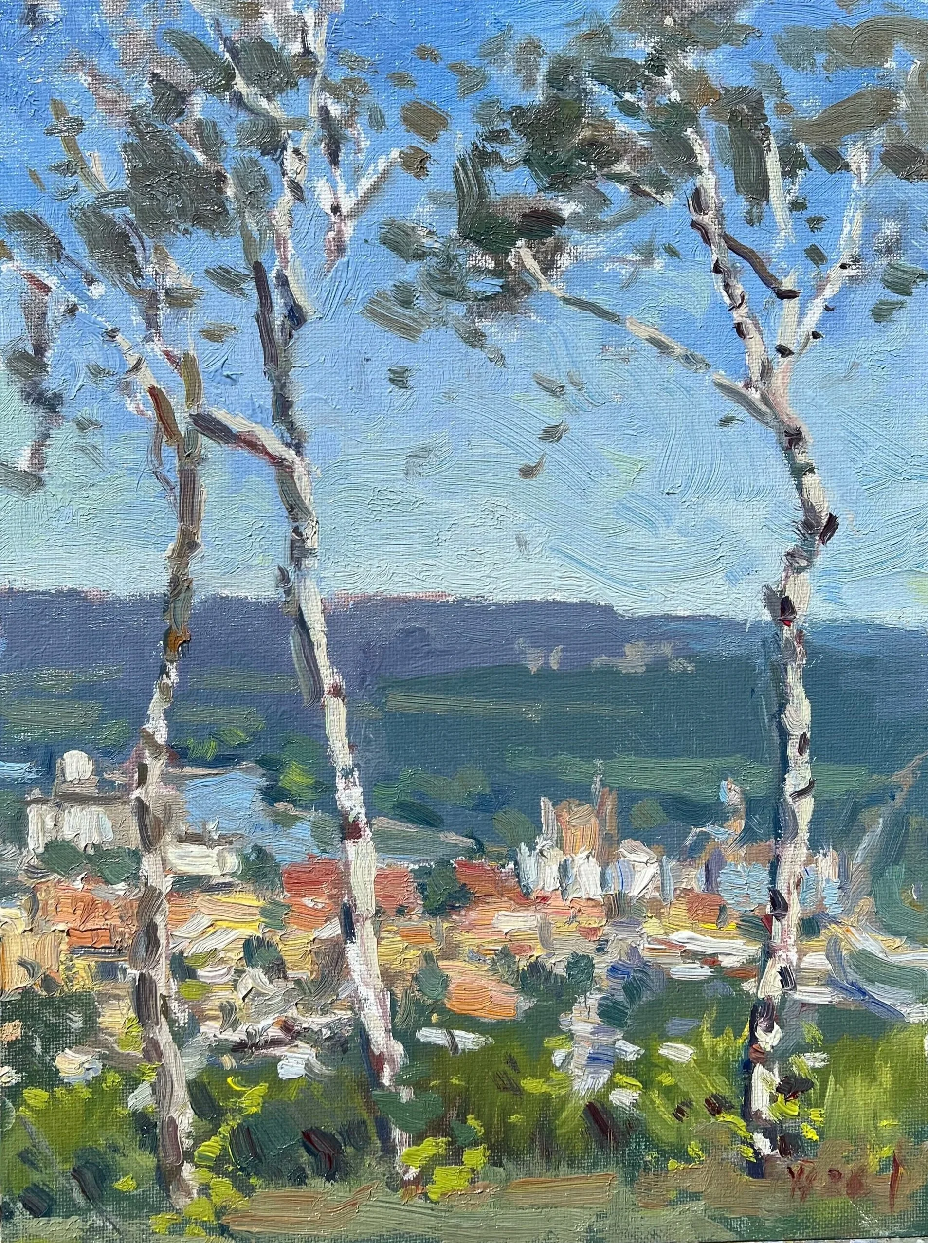 Haruni, Ylli