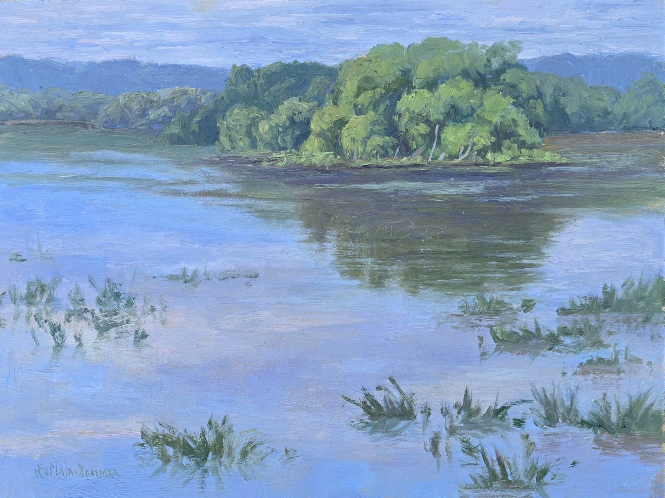 LeClair-Sommer, Cheryl